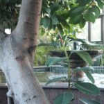 Muzyczne podróże. Opolszczyzna - Zamek w Mosznej / Robert Felczak / Radio Kielce