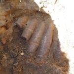 24.08.2020. Pierzchnica. Usuwanie niewybuchów / Jarosław Kubalski / Radio Kielce