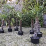 21.08.2020. Kielce. Przygotowania do Międzynarodowego Festiwalu Sportów Plażowych / Jarosław Kubalski / Radio Kielce