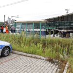 04.08.2020. Morawica. Wypadek ciężarówki przewożącej piwo / Jarosław Kubalski / Radio Kielce