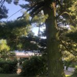 01.08.2020. Sandomierz. Ogród biskupi / Grażyna Szlęzak-Wójcik / Radio Kielce