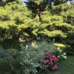 01.08.2020. Sandomierz. Ogród biskupi / Grażyna Szlęzak-Wójcik / Radio Kielce