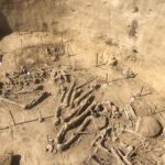 06.08.2020. Wilczyce. Grób odkryty przez archeologów / Grażyna Szlęzak-Wójcik / Radio Kielce