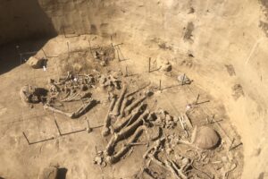 06.08.2020. Wilczyce. Grób odkryty przez archeologów / Grażyna Szlęzak-Wójcik / Radio Kielce