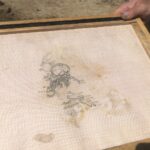 06.08.2020. Wilczyce. Grób odkryty przez archeologów / Grażyna Szlęzak-Wójcik / Radio Kielce