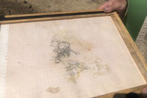 06.08.2020. Wilczyce. Grób odkryty przez archeologów / Grażyna Szlęzak-Wójcik / Radio Kielce