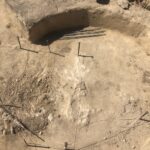 06.08.2020. Wilczyce. Grób odkryty przez archeologów / Grażyna Szlęzak-Wójcik / Radio Kielce