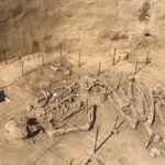 06.08.2020. Wilczyce. Grób odkryty przez archeologów / Grażyna Szlęzak-Wójcik / Radio Kielce
