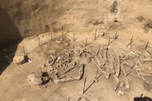 06.08.2020. Wilczyce. Grób odkryty przez archeologów / Grażyna Szlęzak-Wójcik / Radio Kielce