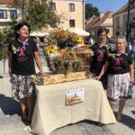 30.08.2020 Sandomierz. Powiatowe Święto Plonów połączone z Dożynkami Diecezjalnymi / Grażyna Szlęzak-Wójcik / Radio Kielce