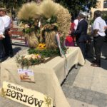 30.08.2020 Sandomierz. Powiatowe Święto Plonów połączone z Dożynkami Diecezjalnymi / Grażyna Szlęzak-Wójcik / Radio Kielce