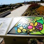 14.08.2020. Kielce. Ogród botaniczny / Faustyna Terelak / Radio Kielce