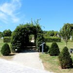 14.08.2020. Kielce. Ogród botaniczny / Faustyna Terelak / Radio Kielce