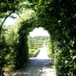 14.08.2020. Kielce. Ogród botaniczny / Faustyna Terelak / Radio Kielce