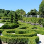 14.08.2020. Kielce. Ogród botaniczny / Faustyna Terelak / Radio Kielce