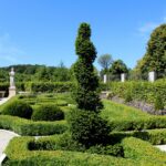 14.08.2020. Kielce. Ogród botaniczny / Faustyna Terelak / Radio Kielce