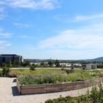 14.08.2020. Kielce. Ogród botaniczny / Faustyna Terelak / Radio Kielce