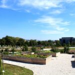 14.08.2020. Kielce. Ogród botaniczny / Faustyna Terelak / Radio Kielce