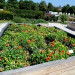 14.08.2020. Kielce. Ogród botaniczny / Faustyna Terelak / Radio Kielce