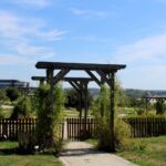 14.08.2020. Kielce. Ogród botaniczny / Faustyna Terelak / Radio Kielce