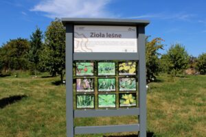 14.08.2020. Kielce. Ogród botaniczny / Faustyna Terelak / Radio Kielce