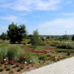 14.08.2020. Kielce. Ogród botaniczny / Faustyna Terelak / Radio Kielce