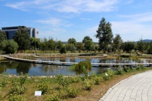 14.08.2020. Kielce. Ogród botaniczny / Faustyna Terelak / Radio Kielce