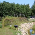 14.08.2020. Kielce. Ogród botaniczny / Faustyna Terelak / Radio Kielce