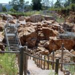 14.08.2020. Kielce. Ogród botaniczny / Faustyna Terelak / Radio Kielce