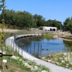 14.08.2020. Kielce. Ogród botaniczny / Faustyna Terelak / Radio Kielce