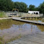 14.08.2020. Kielce. Ogród botaniczny / Faustyna Terelak / Radio Kielce