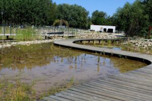 14.08.2020. Kielce. Ogród botaniczny / Faustyna Terelak / Radio Kielce