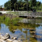 14.08.2020. Kielce. Ogród botaniczny / Faustyna Terelak / Radio Kielce