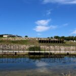 14.08.2020. Kielce. Ogród botaniczny / Faustyna Terelak / Radio Kielce