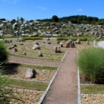 14.08.2020. Kielce. Ogród botaniczny / Faustyna Terelak / Radio Kielce