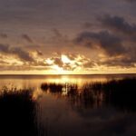 Muzyczne Podróże. Pomorze. Jezioro Gardna / Danuta Rasała