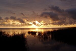 Muzyczne Podróże. Pomorze. Jezioro Gardna / Danuta Rasała