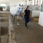 31.07.2020 Michałów. Stadnina koni. Przygotowanie koni przed wyjazdem do Janowa Podlaskiego na Pride of Poland / Jarosław Kubalski / Radio Kielce
