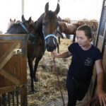 31.07.2020 Michałów. Stadnina koni. Przygotowanie koni przed wyjazdem do Janowa Podlaskiego na Pride of Poland / Jarosław Kubalski / Radio Kielce