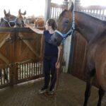 31.07.2020 Michałów. Stadnina koni. Przygotowanie koni przed wyjazdem do Janowa Podlaskiego na Pride of Poland / Jarosław Kubalski / Radio Kielce