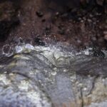 02.08.2020 Kielce. Sztuczny wodospad na Kadzielni / Jarosław Kubalski / Radio Kielce