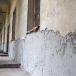 07.08.2020 Kielce. Pałac Biskupów Krakowskich. Muzeum Narodowe. Remont elewacji / Jarosław Kubalski / Radio Kielce