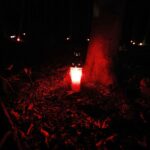 11.08.2020 Szewce. Marsz Szlakiem I Kompanii Kadrowej. Apel i zapalenie zniczy w lesie, gdzie dokonywano rozstrzeliwań Żołnierzy Wyklętych / Jarosław Kubalski / Radio Kielce