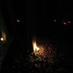 11.08.2020 Szewce. Marsz Szlakiem I Kompanii Kadrowej. Apel i zapalenie zniczy w lesie, gdzie dokonywano rozstrzeliwań Żołnierzy Wyklętych / Jarosław Kubalski / Radio Kielce