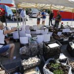 22.08.2020 Kielce. Targi Dom Ogród i Ty / Jarosław Kubalski / Radio Kielce