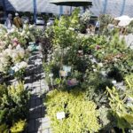 22.08.2020 Kielce. Targi Dom Ogród i Ty / Jarosław Kubalski / Radio Kielce