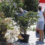 22.08.2020 Kielce. Targi Dom Ogród i Ty / Jarosław Kubalski / Radio Kielce