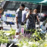 22.08.2020 Kielce. Targi Dom Ogród i Ty / Jarosław Kubalski / Radio Kielce