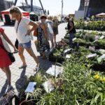 22.08.2020 Kielce. Targi Dom Ogród i Ty / Jarosław Kubalski / Radio Kielce