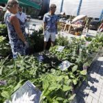 22.08.2020 Kielce. Targi Dom Ogród i Ty / Jarosław Kubalski / Radio Kielce